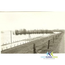 kwel langs de Pannerdense banddijk 1970 4 001